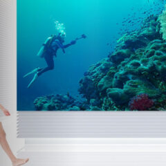 How DvLED Technology Is Transforming Digital Signage